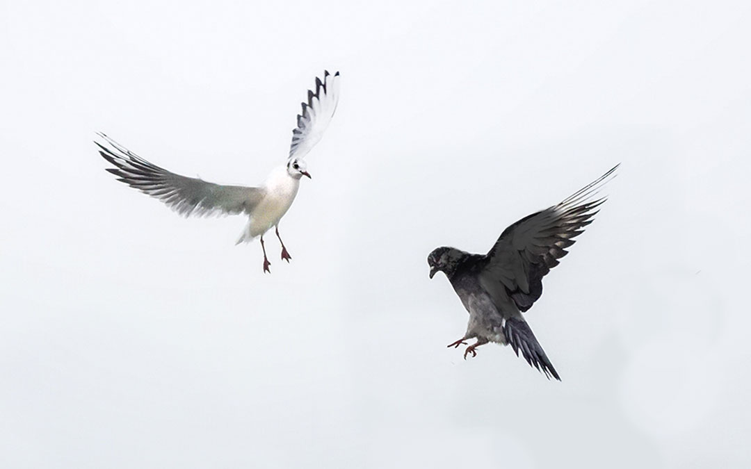 Two Religious Spirits
